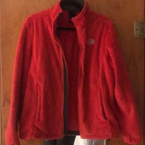 North face teddy jacket